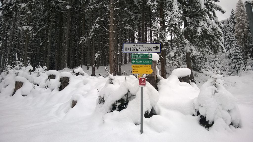 Appartement Reitlhof Wald im Pinzgau Buitenkant foto